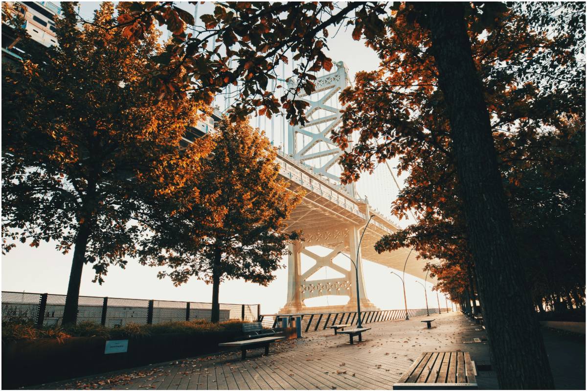 Bridge